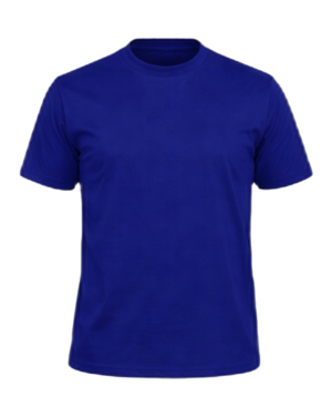 CorePolo Blue Shirt